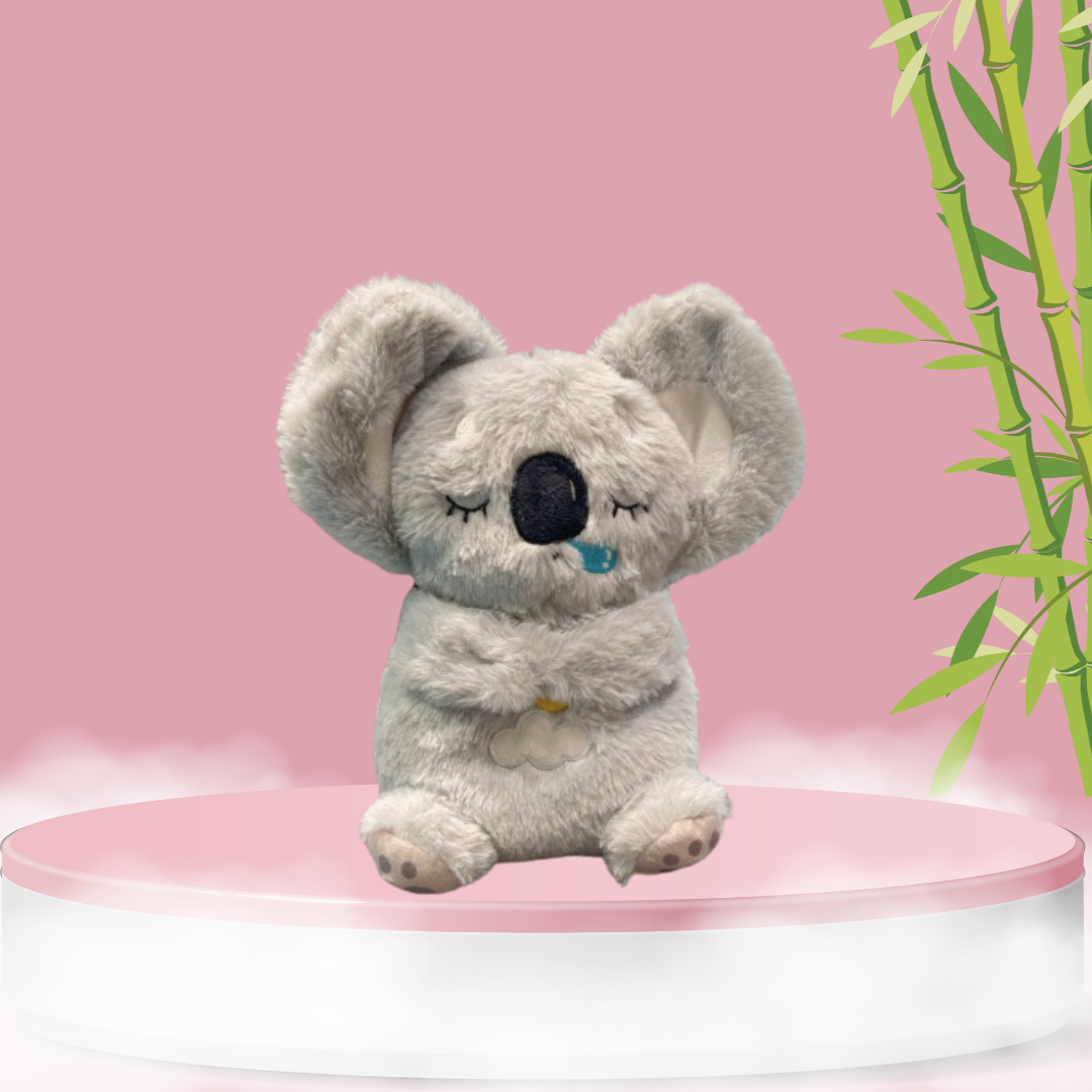 Kalmerende Koala